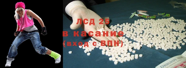 ПСИЛОЦИБИНОВЫЕ ГРИБЫ Вязники
