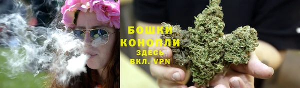 соль ск Вязьма