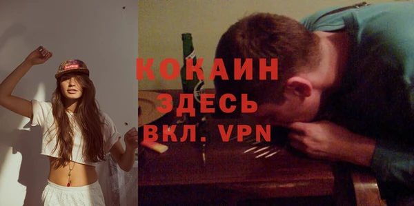 ПСИЛОЦИБИНОВЫЕ ГРИБЫ Вязники