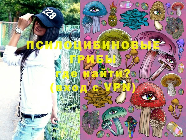 бошки Вяземский