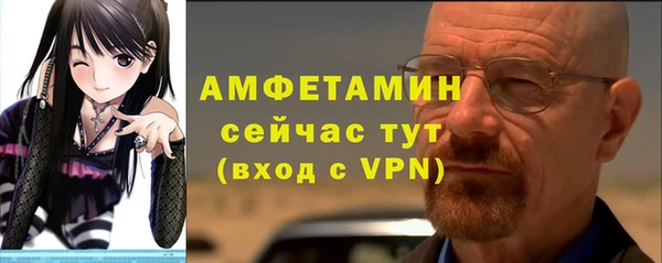 ПСИЛОЦИБИНОВЫЕ ГРИБЫ Вязники