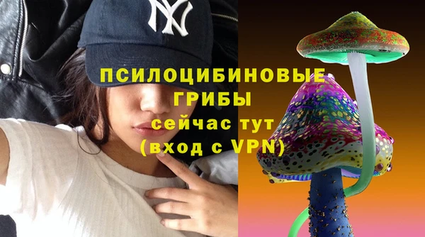 ПСИЛОЦИБИНОВЫЕ ГРИБЫ Вязники