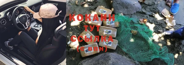 ПСИЛОЦИБИНОВЫЕ ГРИБЫ Вязники
