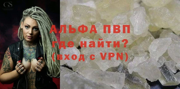 ПСИЛОЦИБИНОВЫЕ ГРИБЫ Вязники
