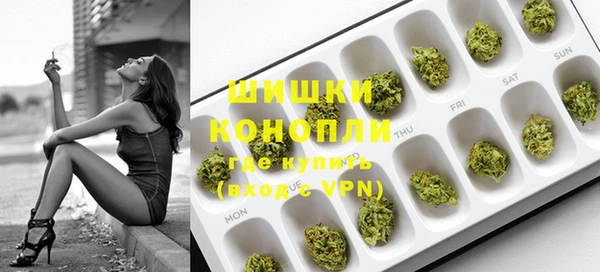 ПСИЛОЦИБИНОВЫЕ ГРИБЫ Вязники