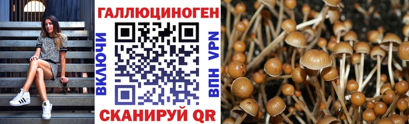 shop как зайти  Елизаветинская  Псилоцибиновые грибы мухоморы 